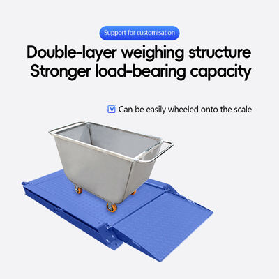 SOHE 600*800mm 500KG 탄소 스틸 초저 플랫폼 스케일 디비전 0.2KG 듀얼 램프